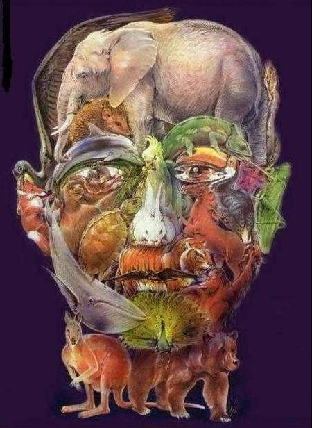 LES ANIMAUX.jpg