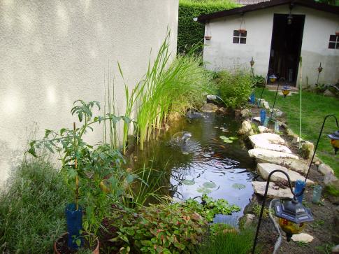 Ao&ucirc;t 2006