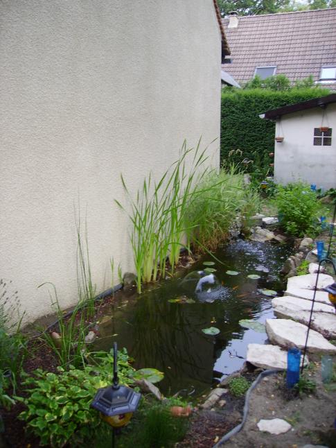 Juillet 2006