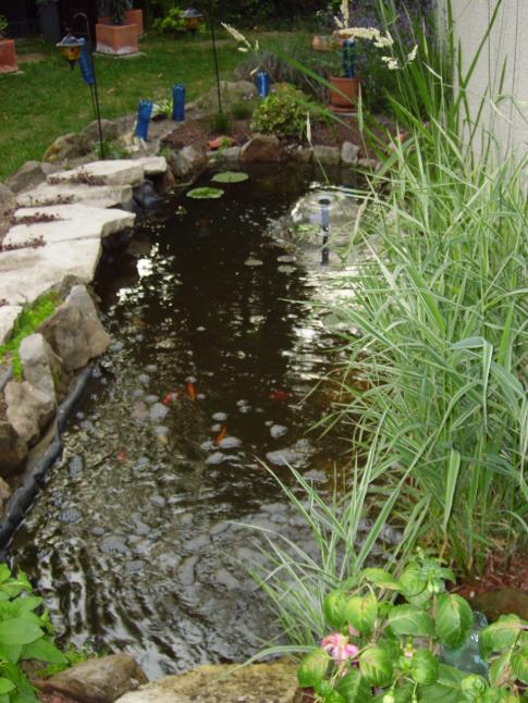 Le bassin en juin 2006