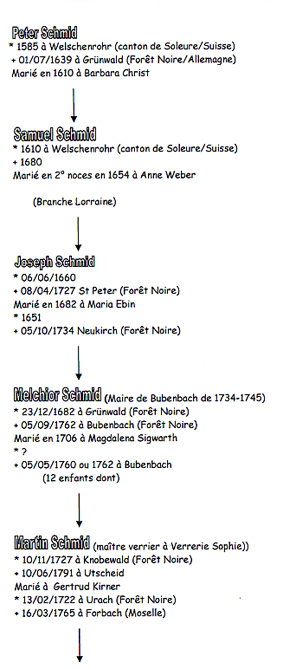 branche agnatique 1