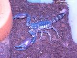 Album par d�faut