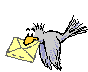 IMAGE ANIMEE
