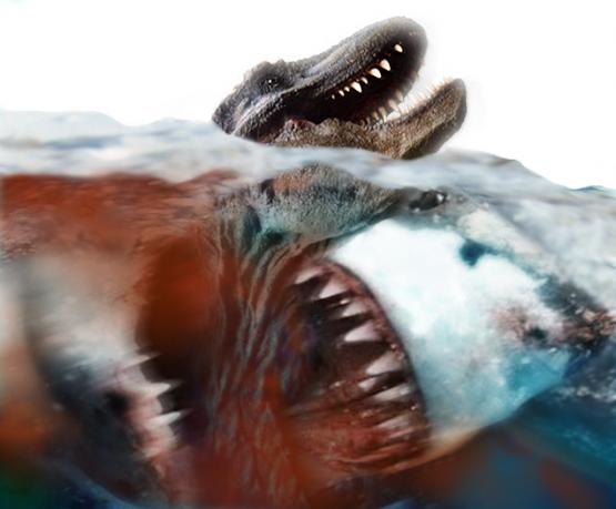 MEG%20REVISED%20T-REX.jpg