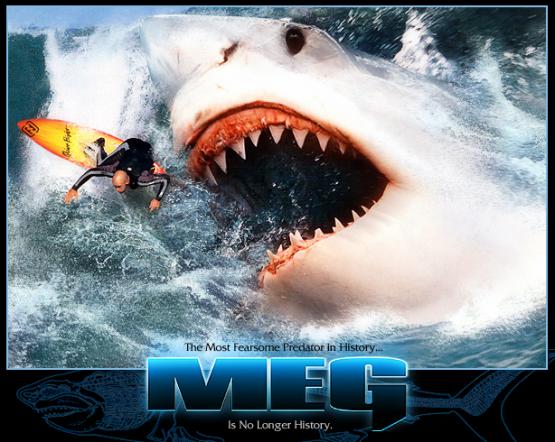 SurfernewadFINAL.jpg