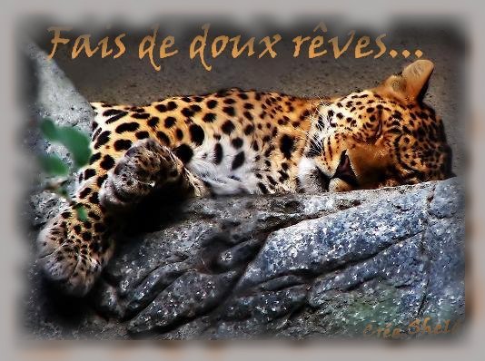 Doux r�ves