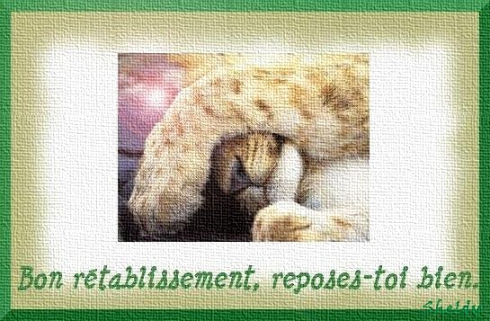 Bon R�tablissement