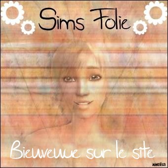 Entrer sur le site Sims Folie, le site