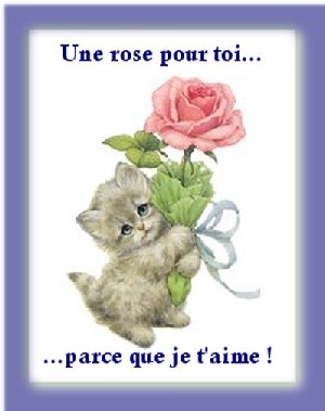 amour12[1].jpg