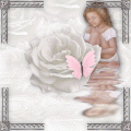 Album par d�faut
