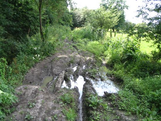 BCT 2007 GR121B BCT 2007 GR121B