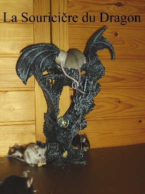 Entrer sur le site La Sourici�re du Dragon