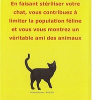 St�riliser vos chats