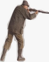 Chasse aux chats