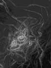 Dessins