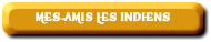 MES AMIS LES INDIENS
