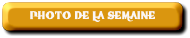 PHOTO DE LA SEAINE