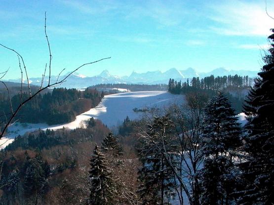 swisspic20040402_4840756_2.jpg