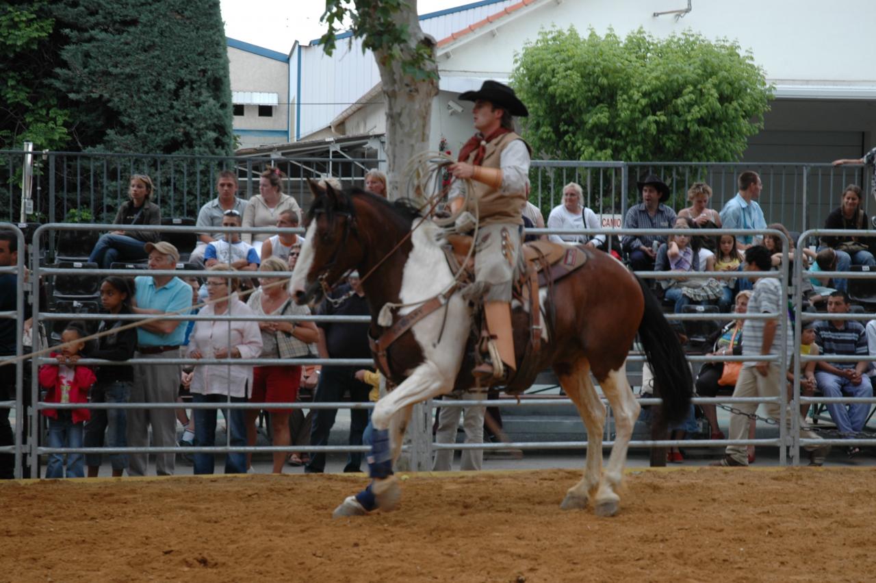 Cowboy 2
