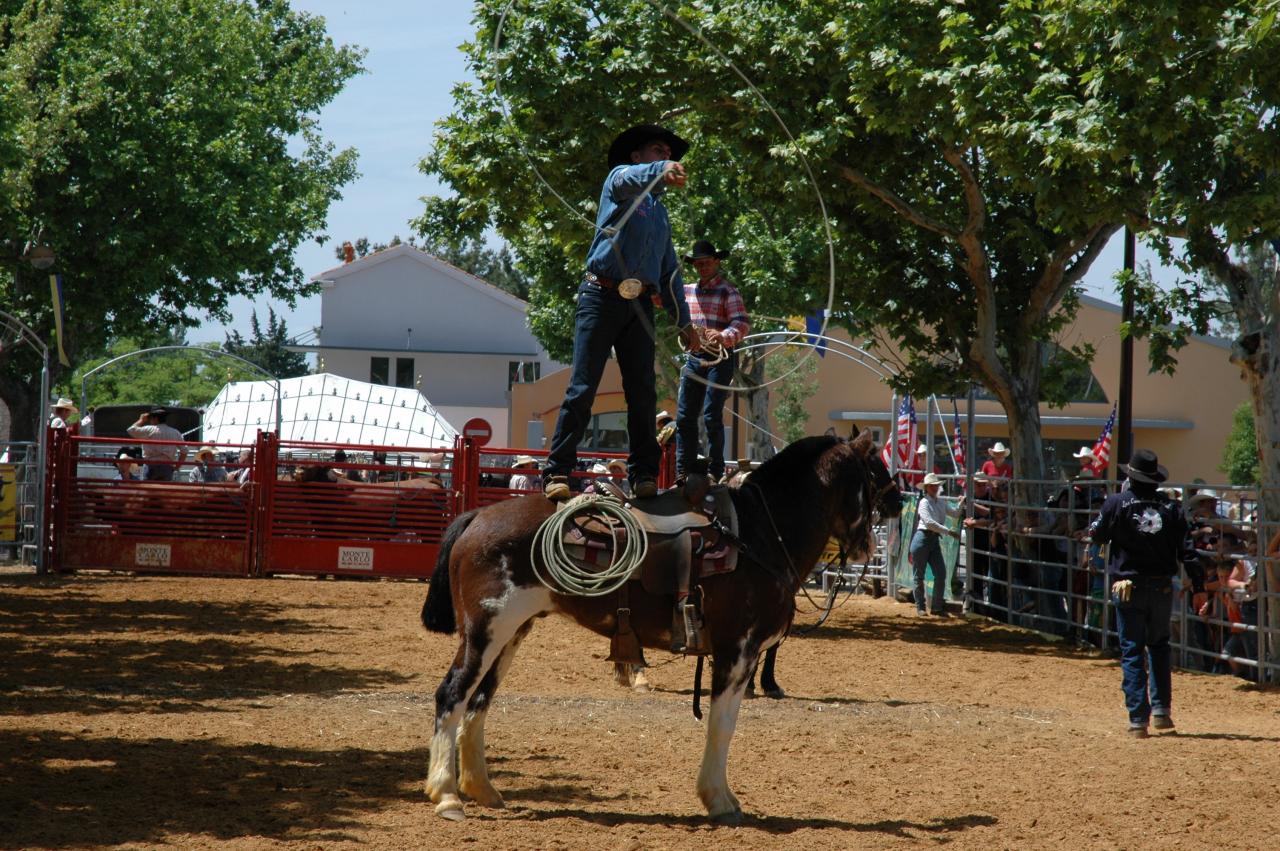 Cowboy 1