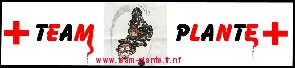 TEAM-PLANTE