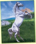 Chevaux