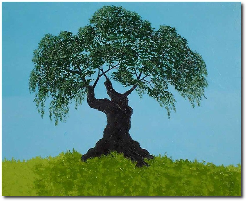 Big olive tree