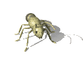 Entrer sur le site traitement promotion immobiliere
