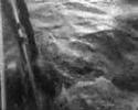 Divers Go Down to Andrea Doria One Week After Sinking