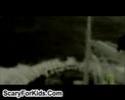 Ghost Ships