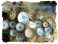 Shipwrecks

& Underwater Lost Treasures