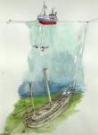 vrow maria diving.jpg
