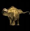 diplodocus