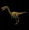 co�lophisis