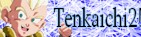 Tenkaichi2!