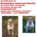 Album par d�faut
