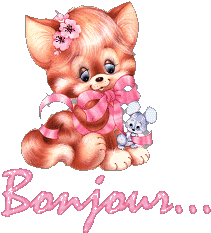 Bienvenue internaute ============================>
