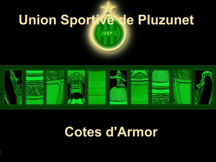 Union Sportive de Pluzunet