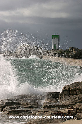 TREVIGNON