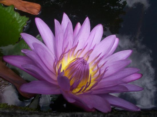 6048ee1-dcp_0040.jpg