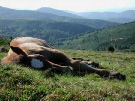 repos.jpg