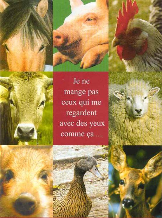 animaux4.jpg