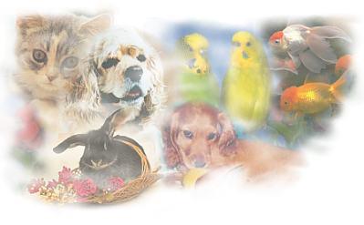 animaux.jpg