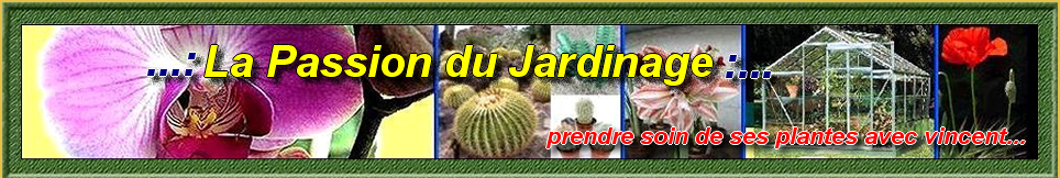 ...: La Passion du Jardinage  :...