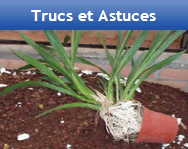 Trucs et Astuces