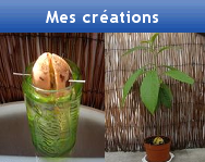 Mes cr&eacute;ations