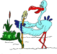 gif5