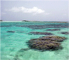 Roques6