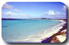 Beach Beach