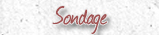 Sondage